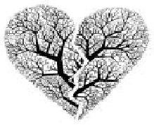 Erase una vez el cuento del enamorado